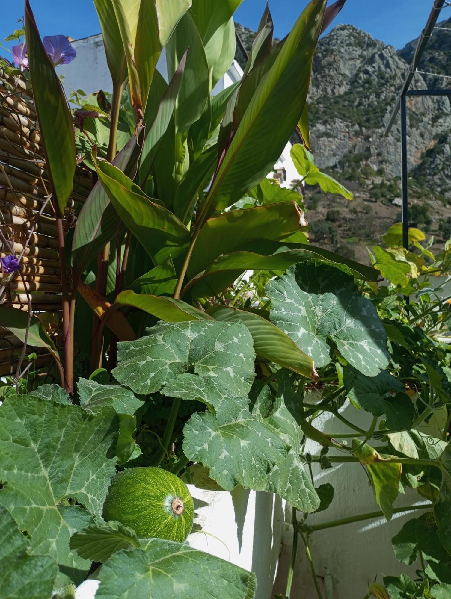 Bed and Breakfast Dar Sbaa Xauen Exterior foto